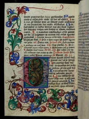 Zierinitiale (Psalm 101): D(omine exaudi)