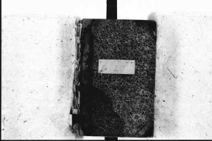 Journal Januar 1841 - Juli 1841 (Tagebücher)