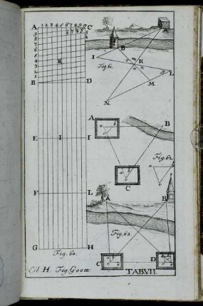 Fig. Geom. Tab. VII.