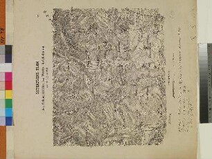 SITUATIONS-PLAN des Gefechtsfeldes bei Wörth-Reichshofen am 6ten August 1870.