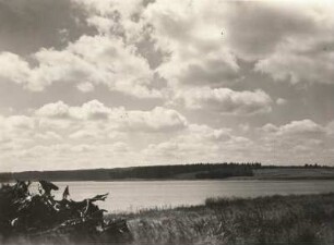 Vogtland. Die Talsperre bei Muldenberg, südlich Auerbach