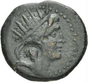 Soloi