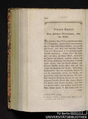 Viertes Kapitel. Das südliche Mesopotamia, oder die Wüste.