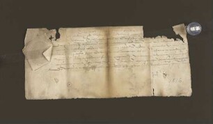 1516.02.20. Bestätigung des Paderborner Offizials des vorigen Testaments (U 0865)