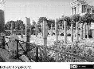 Trajansforum, Basilica Ulpia