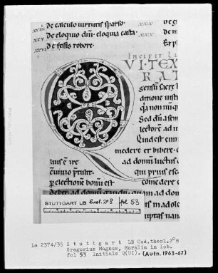 Gregorius Magnus, Moralia in Job — Initiale Q, Folio 53recto