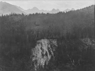 Wald mit Abbruchkante : Blick über einen Wald mit einer Abbruchkante. Im Hintergrund Gebirge
