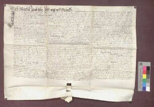 Lehnrevers des Martin Jakob gegenüber der Basler Dompropstei wegen des Dinghofs zu Istein.