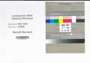 Entnazifizierung Bernhard Bischoff, geb. 02.12.1902 (Bauinspektor)