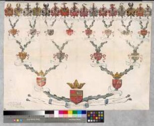 Proband: Velen, Ferdinand Gottfried Graf von; Vater: Velen, [Alexander] Graf von; Mutter: Huyn-Geleen (Huyn-Glain), [Alexandrine] Gräfin von: Münster, Fbstm, Ritterschaft