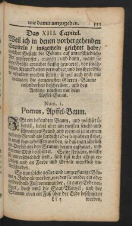 Das XIII. Capitel. Weil ich in denen vorhergehenden Capiteln / insgemein gelehrt habe /