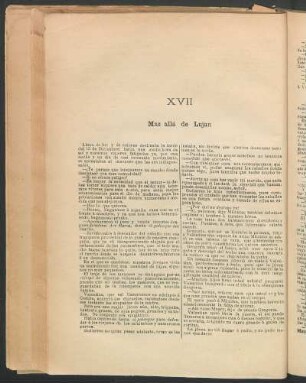 XVII Más allá de Lujan