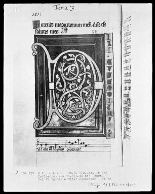 Psalterium mit Kalendar aus Sankt Nicola bei Passau — Initiale D (ixit custodiam), Folio 42 recto