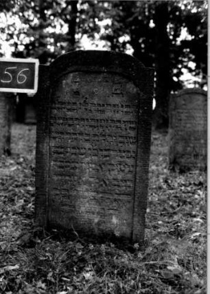 Grabstein 56 [Nir S. 63f. Nr. 6.14]