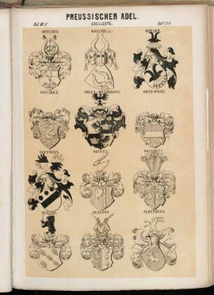 Taf. 337. Offeney; Oheimb (alt.); Oheimb; Oheimb II. Ohlen v. Adlerskron; Ohnesorge; Oidtmann; Okulicz; Okulowicz; Olberg; Oldecop; Oldenburg