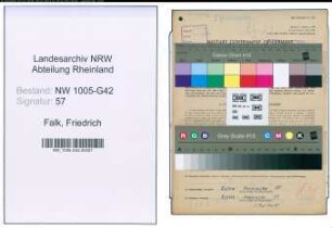 Entnazifizierung Friedrich Falk , geb. 21.03.1910 (Geschaeftsfuehrer)