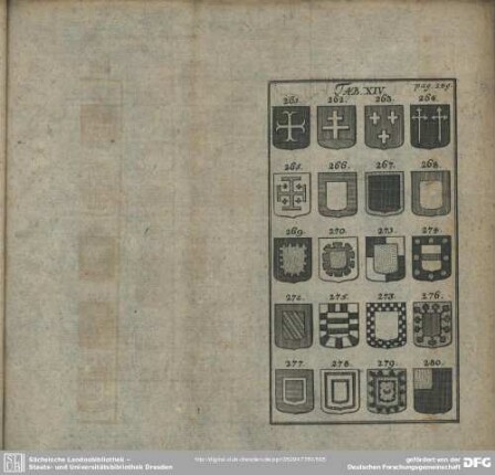 Tab. XIV.