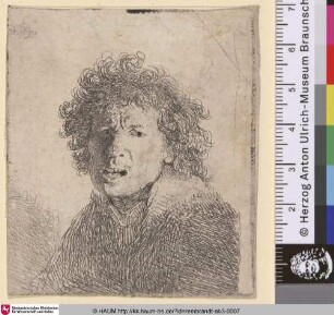 [Selbstbildnis mit geöffnetem Mund; Self-Portrait Open Mouthed, as if Shouting: Bust; Portrait de Rembrandt à la bouche ouverte]