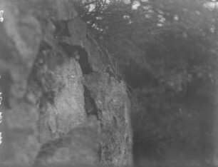 Gartenrotschwanz : Rochlitzer Berg, Gartenrotschwanz (Phoenicurus phoenicurus L.) vor der Nisthöhle.