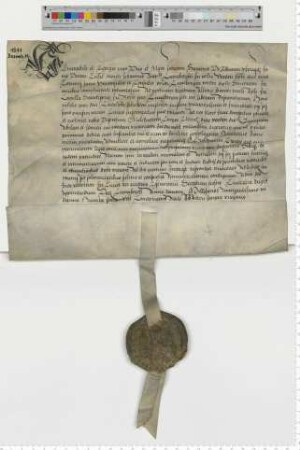 Dem Propste zu St. Johannis Dr. Sartoris präsentieren die Bürgermeister und Ratsmannen für eine Vikarie am Pauli Altar der Hl. Geistkapelle am Neumarkte [lat].
