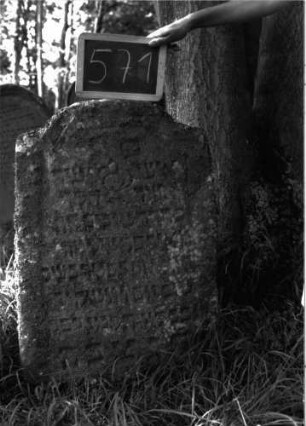 Grabstein 571 (Index: 100102487) Material: Sandstein Zustand: stark verwittert und bewachsen, teilweiser Textverlust Maße HxBxT: 96x58x6 cm Beschreibung: Stele, unregelmäßiger Konvexbogenabschluss, Schriftfeld eingetieft, im Bogenfeld eingeritzte Levitenkanne Symbolik: Levitenkanne: Grabstein 571