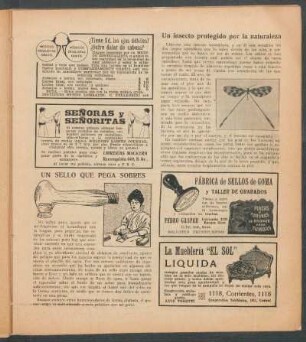 Un insecto protegido por la naturaleza