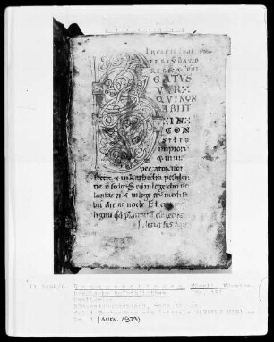 Hs.181 & Psalterium & fol 1