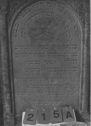 Grabstein 215 (Index: 100009134) Maße HxBxT: 139x73x35 cm Symbolik: Levitenkanne: Grabstein 215A