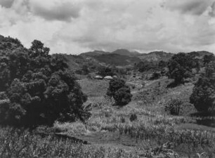Die Uluguru-Berge : Ausläufer der Uluguru-Berge. Im Bildvordergrund Landwirtschaftliche Anbauflächen. In der Bildmitte Hütten einer Siedlung