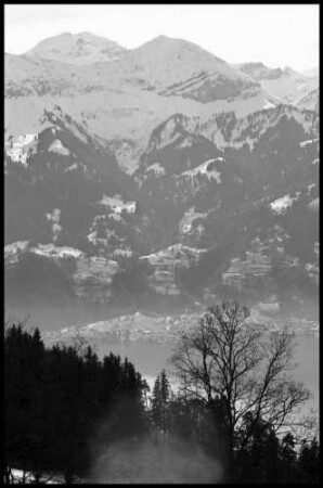 Beatenberg: Blick auf Thuner See mit Leissingen