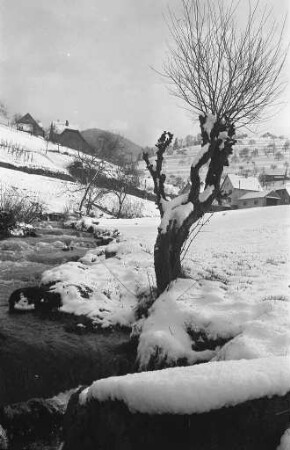 Wintertag im Murgtal.