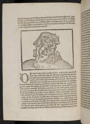 Die Katzen reißen den Wolf; (Kapitel XVI: Von den Vögeln).