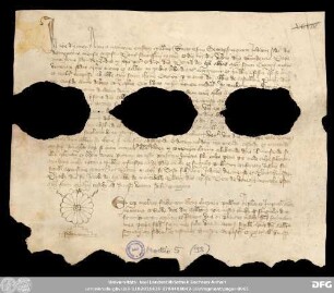 [Halle (Saale), Universitäts- und Landesbibliothek Sachsen-Anhalt, Morbio 5 (98)]