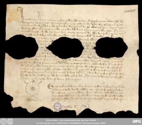 [Halle (Saale), Universitäts- und Landesbibliothek Sachsen-Anhalt, Morbio 5 (98)]