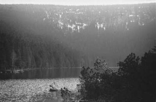 Schwarze See : Blick auf den Schwarzen See (Cerne jezero) im Böhmerwald. Der See wird von der 320 m hohen Felswand Jezerni stena (Seewand) aus Glimmerschiefer eingerahmt.