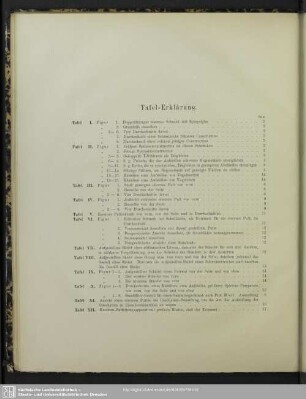 Tafel-Erklärung