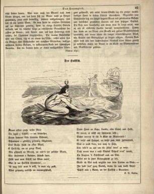 "Der Haifisch"