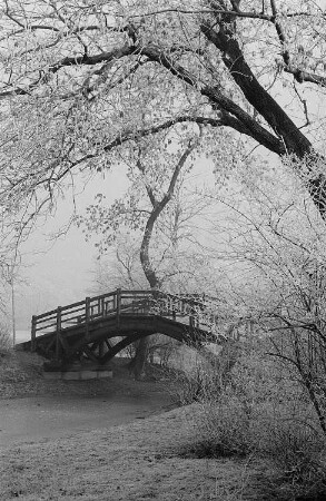 Holzbrücke im Johannapark, im Vordergrund vereiste Sträucher