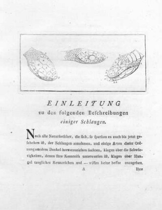 Einleitung zu den folgenden Beschreibungen einiger Schlangen