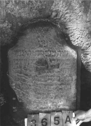 Grabstein 365 (Index: 99610002) Material: Sandstein Zustand: Stele abgebrochen, links unten angeschlagen, stark verwittert, weitgehender Textverlust Maße HxBxT: 96x56x9 cm Beschreibung: Stele, Konvexbogenabschluß, Schriftfeld erhaben: Grabstein 365A (Detailaufnahme 1)