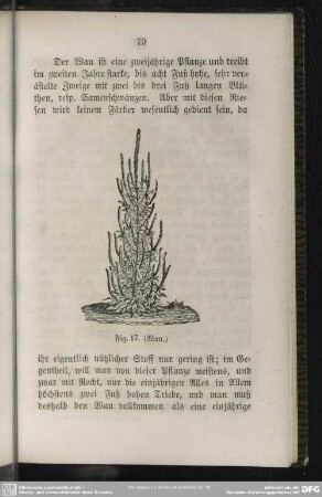 Fig. 17. (Wau)