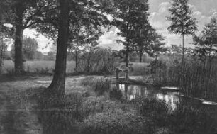 Malschwitz-Doberschütz. Teichdamm in Doberschütz, Ansichtskarte