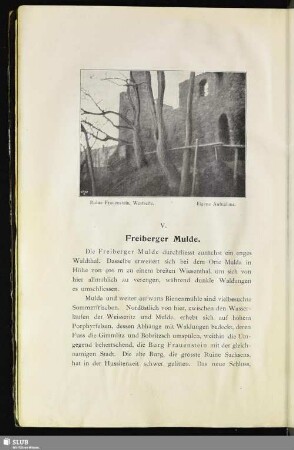 V. Freiberger Mulde