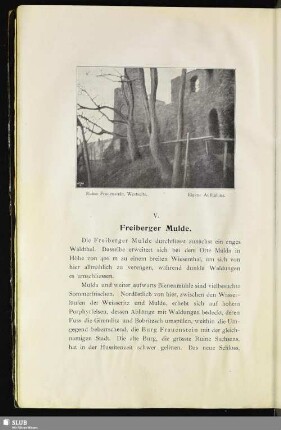 V. Freiberger Mulde