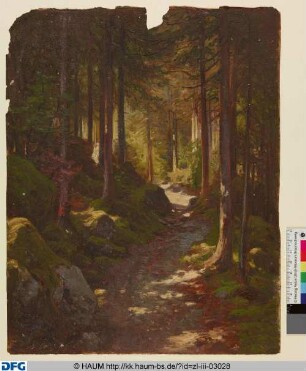 Waldweg