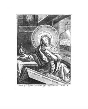 Beati qui lugent, quoniam ipsi consolabuntur. Matth. 5