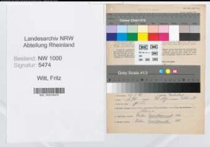 Entnazifizierung Fritz Witt, geb. 27.01.1891 (Landwirt)