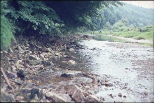 Donauversickerung im Donautal