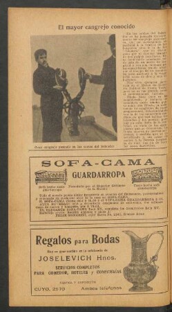 El mayor cangrejo conocido