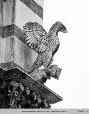 Matthäus und Evangelistensymbole : Evangelistensymbol des Johannes